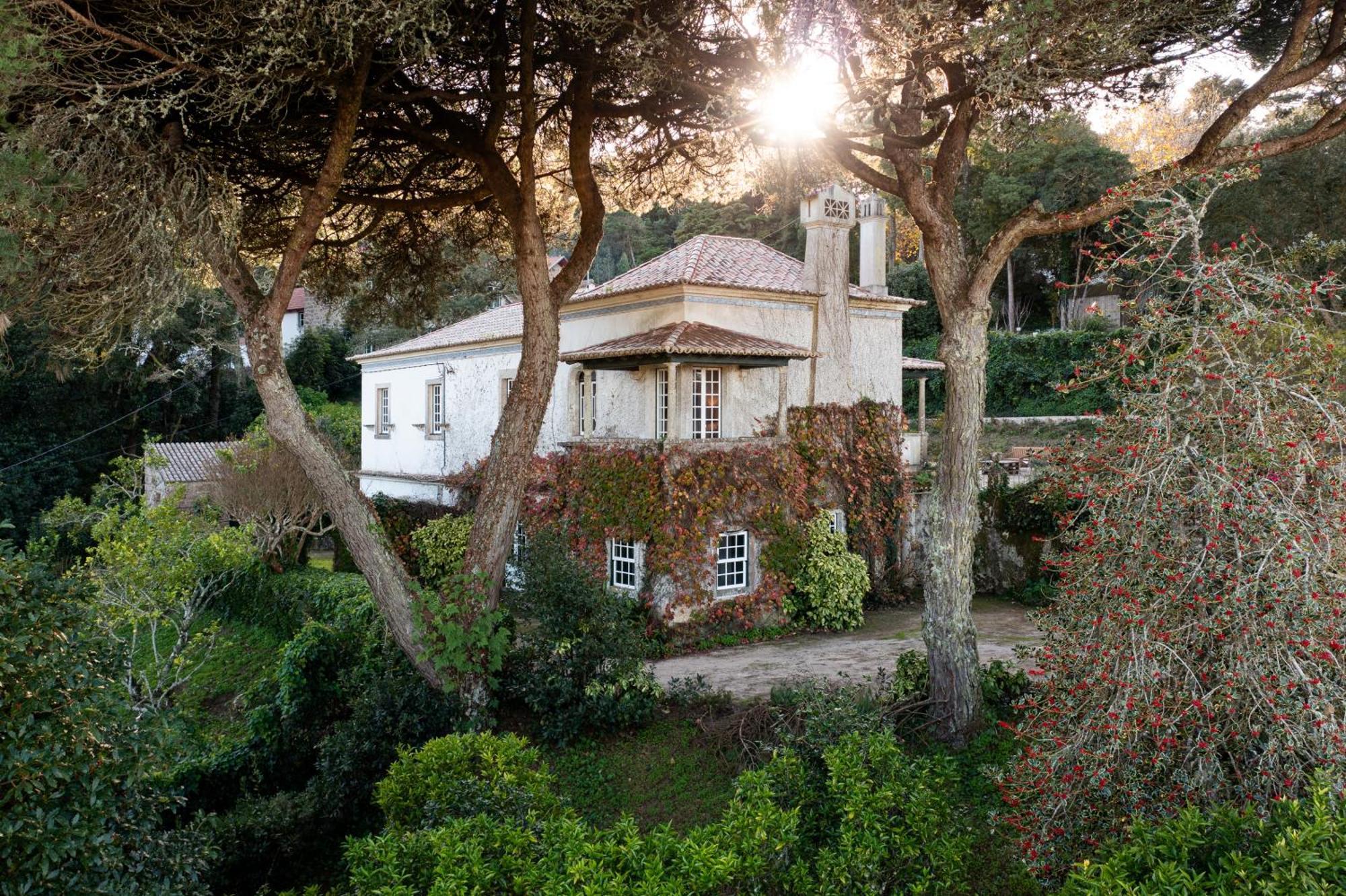 Chalet Chapeu De Sol - סינטרה מראה חיצוני תמונה